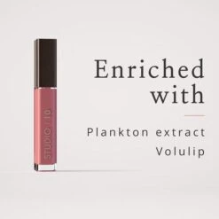 Studio 10 Lip Perfecting Plumping Gloss -Jerseybeauty Sales 2 2022 01 26 141826 11dd96daa3fc8c5e1119bc3ea0940038