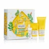 DECLÉOR Decleor Rosemary Collection -Jerseybeauty Sales decleor rosemary collection 11dd96daa3fc8c5e1119bc3ea0940038