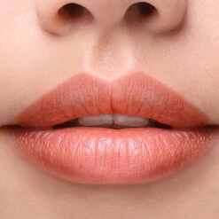 Delilah Colour Intense Cream Lipstick 19 Delilah Colour Intense Cream Lipstick -Jerseybeauty Sales delilah intense cream lipstick foxy 3 11dd96daa3fc8c5e1119bc3ea0940038