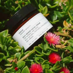 Evolve Organic Beauty Daily Renew Facial Cream 12 Evolve Organic Beauty Daily Renew Facial Cream -Jerseybeauty Sales evolve products daily renew natural face cream 5614254063660 2000x 11dd96daa3fc8c5e1119bc3ea0940038
